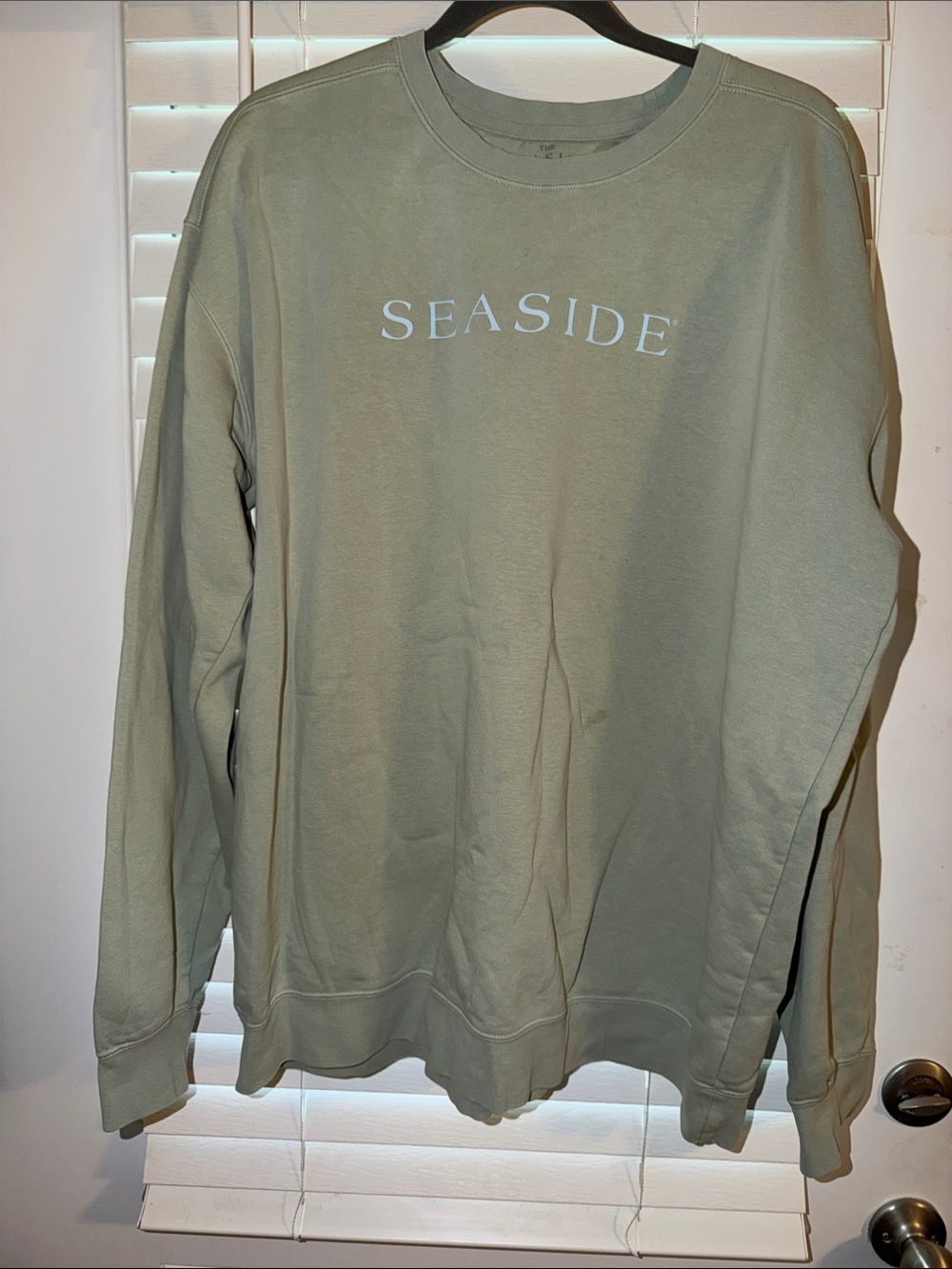 Seaside Crewneck Sweatshirt in Sage Green